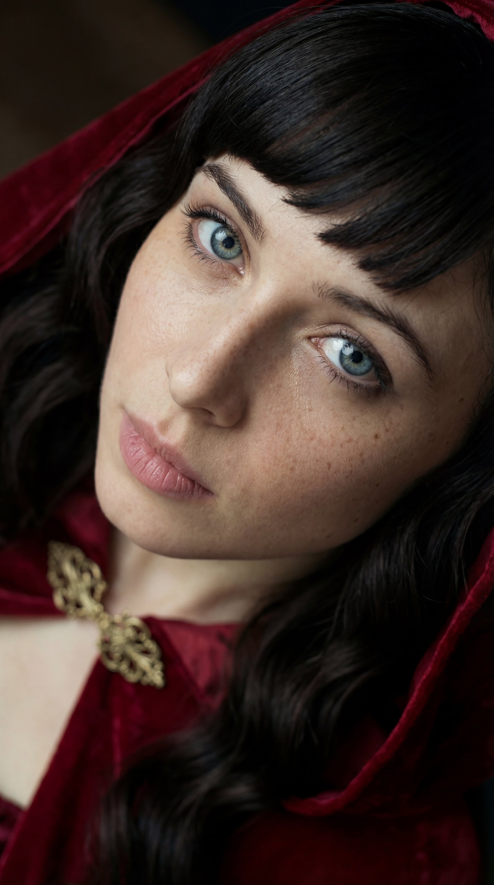 Saga - red close-up